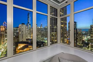 118 E Erie St, Chicago, IL 60611 - Photo 46