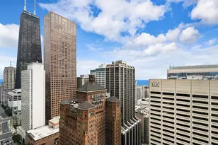 118 E Erie St, Chicago, IL 60611 - Photo 38