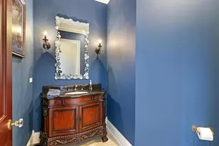 34 Abbey Woods Dr, Barrington Hills, IL 60010 - Photo 12