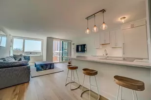 440 N McClurg Ct, Chicago, IL 60611 - Photo 4