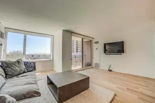 440 N McClurg Ct, Chicago, IL 60611 - Photo 12