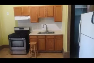 3231 W Flournoy St, Chicago, IL 60624 - Photo 8