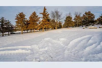 7965 N Adeline Road, Leaf River, IL 61047 - Photo 52