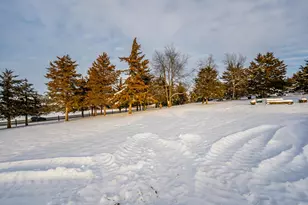 7965 N Adeline Rd, Leaf River, IL 61047 - Photo 52