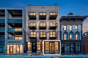 1102 W 18th St, Chicago, IL 60608 - Photo 4