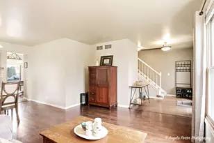 386 Copper Canyon Trail, Cary, IL 60013 - Photo 12