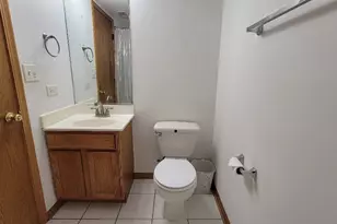 18100 Rita Rd, Tinley Park, IL 60477 - Photo 24