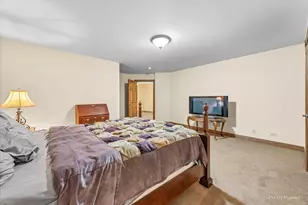 10018 Haegers Bend Rd, Algonquin, IL 60102 - Photo 46