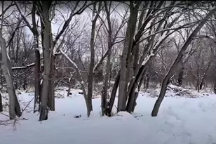 Vacant Heiden Ave, Crest Hill, IL 60403 - Photo 1