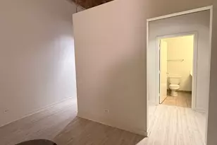 222 S Racine Ave, Chicago, IL 60607 - Photo 12