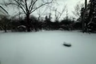 1421 Lawrence Cres Rd, Flossmoor, IL 60422 - Photo 2