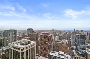 1030 N State St, Chicago, IL 60610 - Photo 18