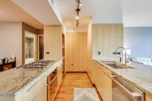 9725 Woods Dr, Skokie, IL 60077 - Photo 10