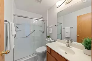 253 Nicole Dr, South Elgin, IL 60177 - Photo 18