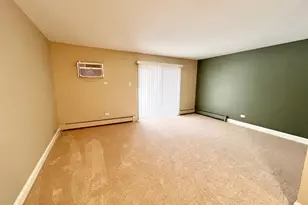 1501 E Churchill Dr, Palatine, IL 60074 - Photo 12