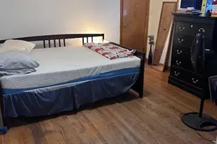 315 E 87th St, Chicago, IL 60619 - Photo 6