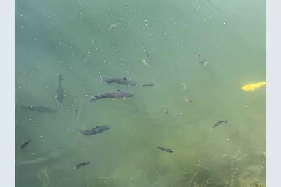 124 Tully Road, Wilmington, IL 60481 - Photo 28