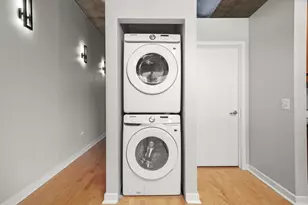 50 E 16th St, Chicago, IL 60616 - Photo 20