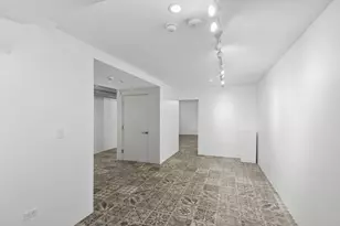 44 E Cedar St, Chicago, IL 60611 - Photo 28