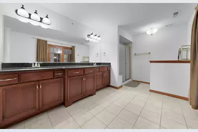 22131 Meadow Lake Place, Richton Park, IL 60471 - Photo 22