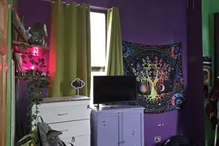 [Address not provided], Chicago, IL 60653 - Photo 12