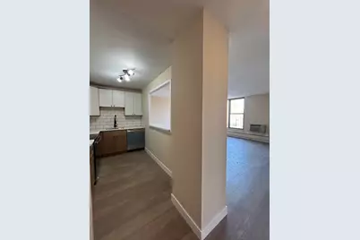 5401 S Hyde Park Boulevard #1206, Chicago, IL 60615 - Photo 6