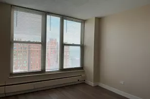 5401 S Hyde Park Blvd, Chicago, IL 60615 - Photo 12