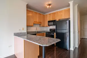 645 N Kingsbury St, Chicago, IL 60654 - Photo 2