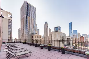 1100 N Dearborn St, Chicago, IL 60610 - Photo 8