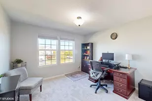 182 Chapin Way, Oswego, IL 60543 - Photo 30