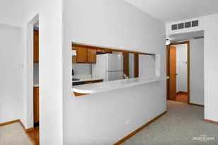 7419 Canterbury Pl, Downers Grove, IL 60516 - Photo 8