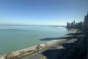 1440 N Lake Shore Dr, Chicago, IL 60610 - Photo 12