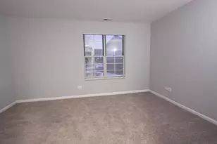 123 Willow Brook Ct, Schaumburg, IL 60195 - Photo 16