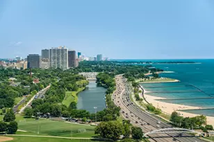 1550 N Lake Shore Dr, Chicago, IL 60610 - Photo 10