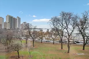 189 E Lake Shore Dr, Chicago, IL 60611 - Photo 36