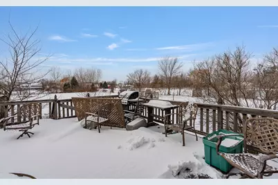 23810 S Saddle Creek Drive, Manhattan, IL 60442 - Photo 48