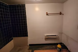 1436 N Luna Ave, Chicago, IL 60651 - Photo 12