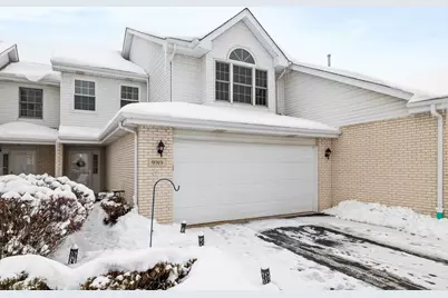 9919 Constitution Drive, Orland Park, IL 60462 - Photo 16