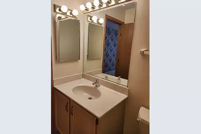 6808 Scotch Pine Trail, Darien, IL 60561 - Photo 26