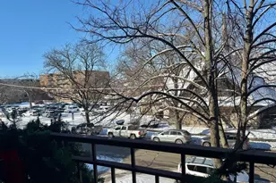 825 Pearson St, Des Plaines, IL 60016 - Photo 32