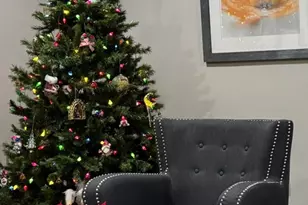 825 Pearson St, Des Plaines, IL 60016 - Photo 14