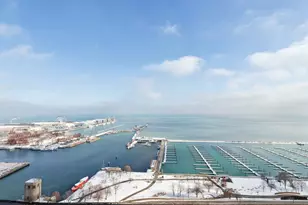 450 E Waterside Dr, Chicago, IL 60601 - Photo 10