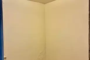 1706 N Springfield Ave, Chicago, IL 60647 - Photo 4