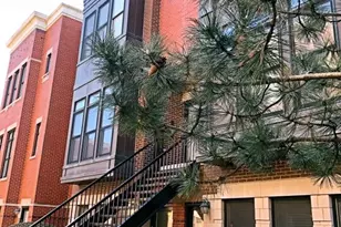 819 W Village Ct, Chicago, IL 60608 - Photo 1