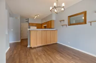 169 Braxton Ln, Aurora, IL 60504 - Photo 16