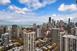 1560 N Sandburg Terrace, Chicago, IL 60610 - Photo 14