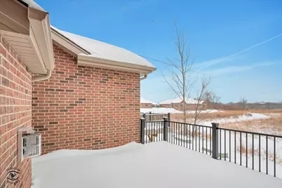 8893 Buffington Breakwater Drive, Frankfort, IL 60423 - Photo 46