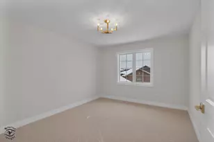 8893 Buffington Breakwater Dr, Frankfort, IL 60423 - Photo 34