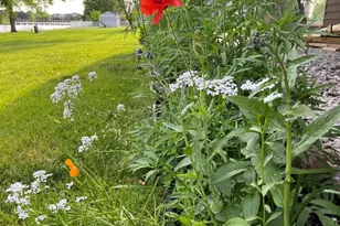 [Address not provided], Bolingbrook, IL 60490 - Photo 52