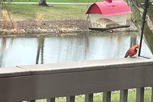 [Address not provided], Bolingbrook, IL 60490 - Photo 54